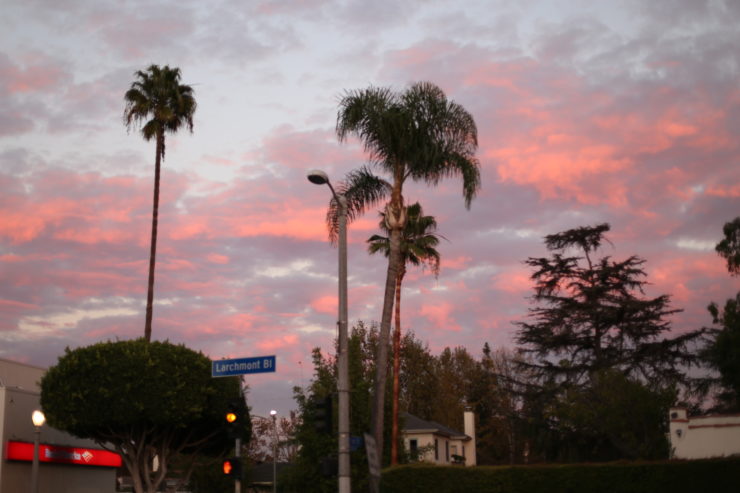 Sonnenuntergang, Palmen, Wolken, L.A.