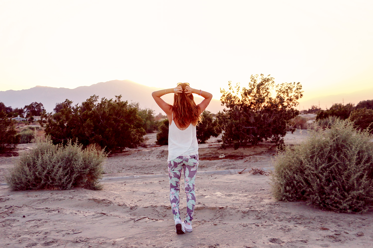 Sunset_Desert_Guess_Floral_Pattern_Luisa_Lion