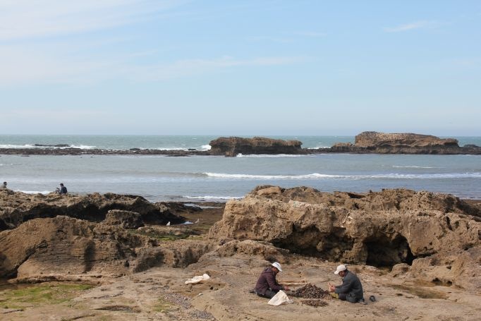 A weekend in Essouira, Marokko