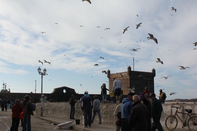 A weekend in Essouira, Marokko