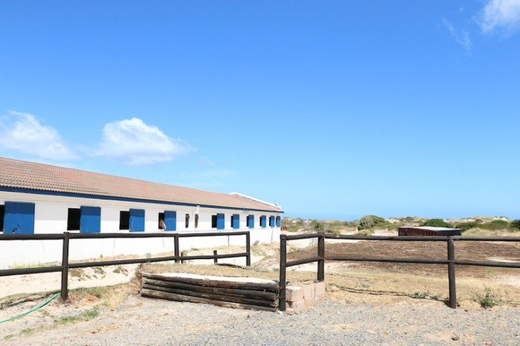 riding stable south africa