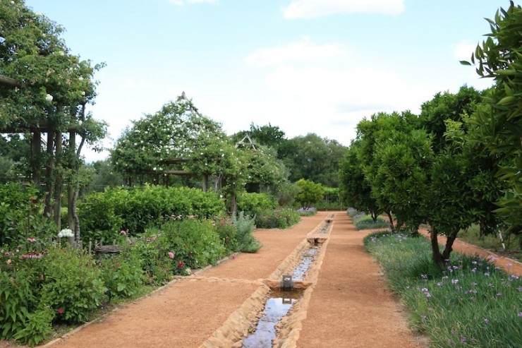south africa cape town garden