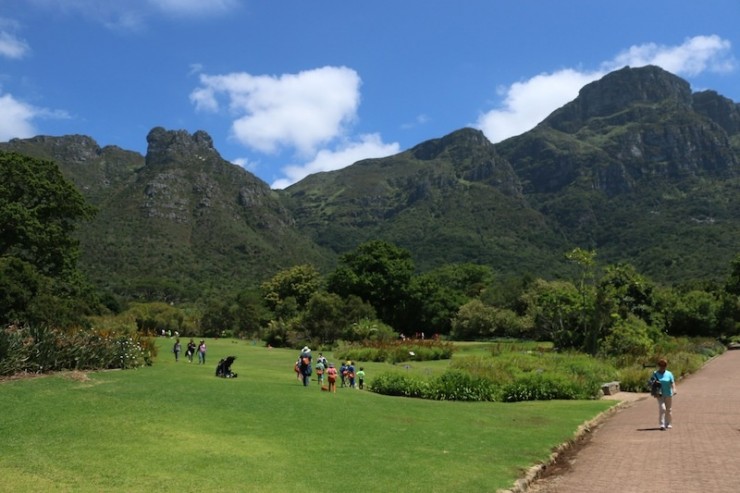 cape town landscape