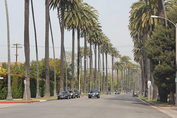 palmen los angeles