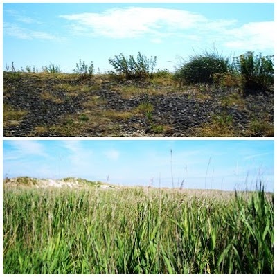 California Gurls an der Nordsee