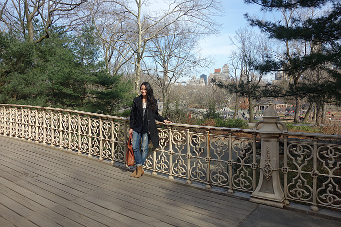 central park new york bridge