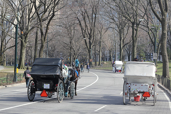 carriage rides central park new york