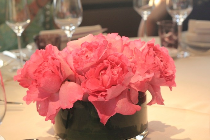 rosen rosa pink