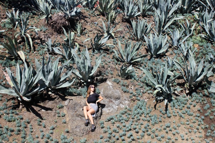 fotoshooting hollywood hills