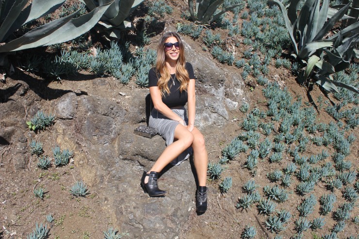 hollywood hills landscape