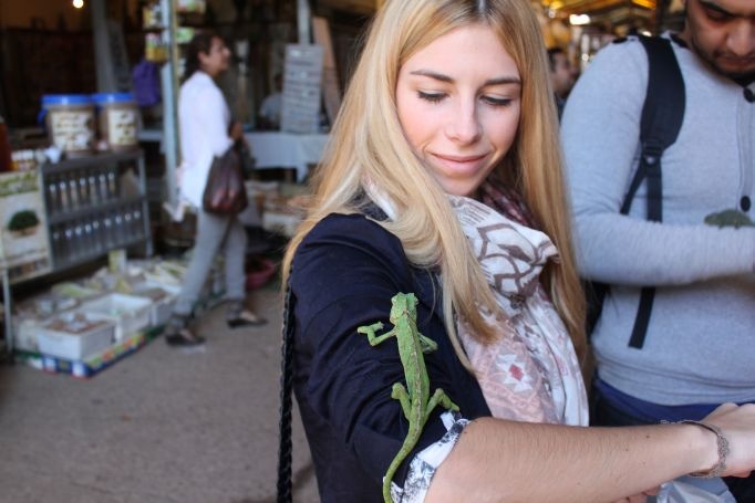 In the Souk of Agadir, Marokko
