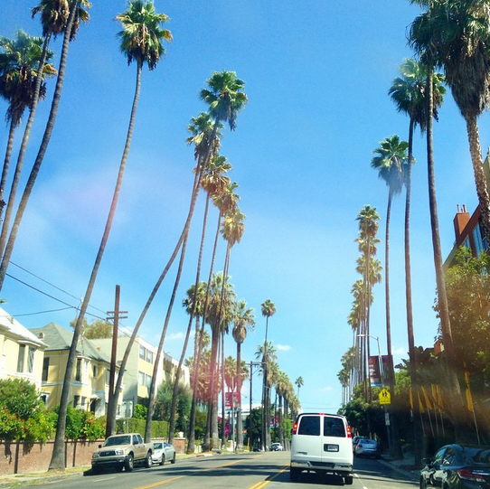 hollywood boulevard