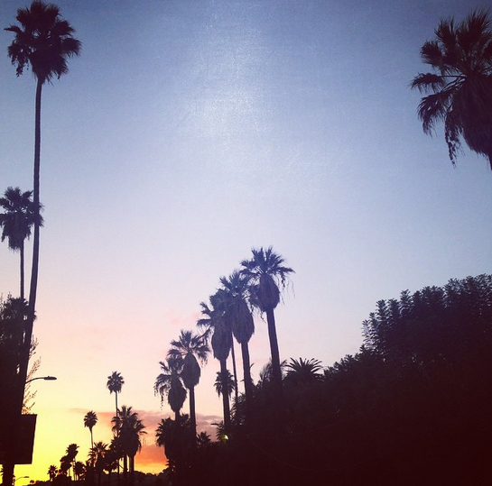 hollywood boulevard sunset