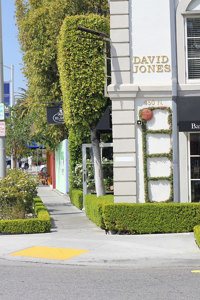 Lunch at Robertson Blvd in Beverly Hills