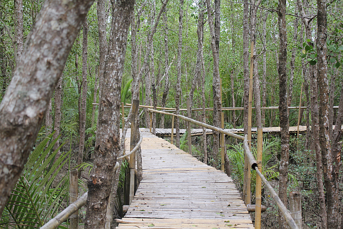 bakhawan eco park kalibo