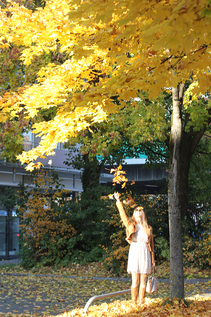 Outfit: The leaves are falling