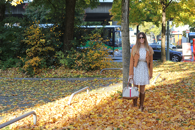 Outfit: The leaves are falling