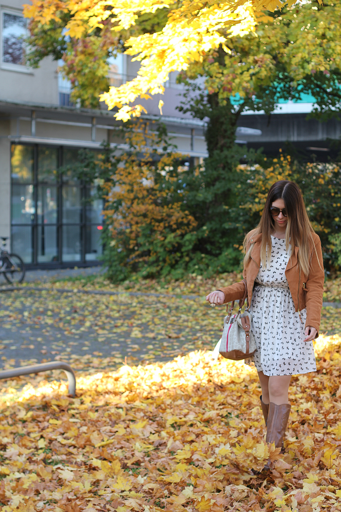 Outfit: The leaves are falling