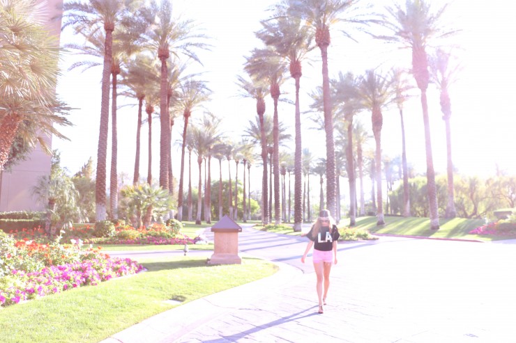 Palm Springs 2 - L.A. Palmen
