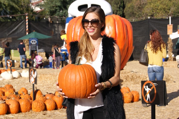 pumpkin patch beverly hills