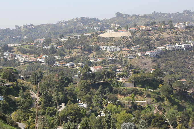 hollywood hills