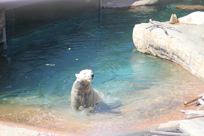 San Diego Zoo