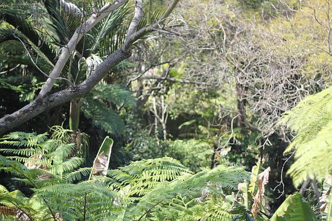 San Diego Zoo