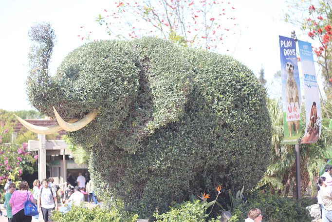 San Diego Zoo