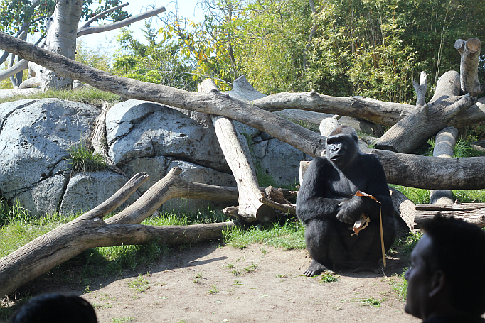 San Diego Zoo