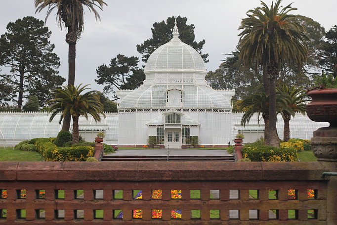 San Francisco Picture Diary Part II