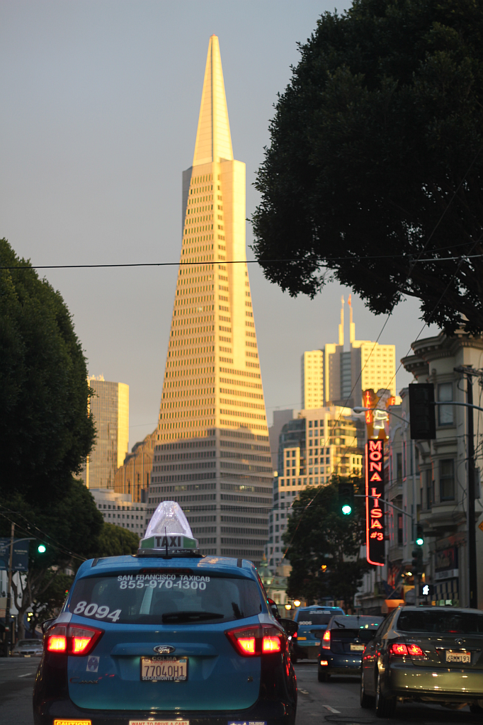 San Francisco Picture Diary Part II