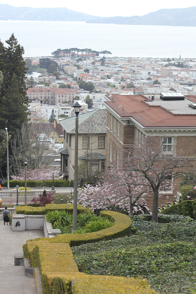 San Francisco Picture Diary Part II