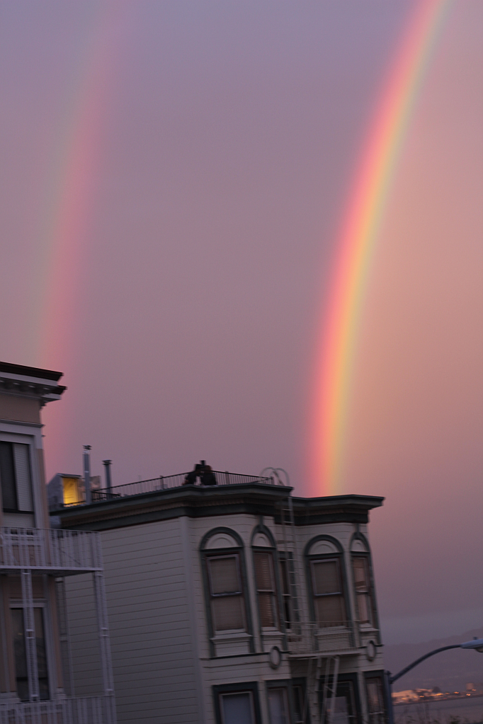 San Francisco Picture Diary Part II