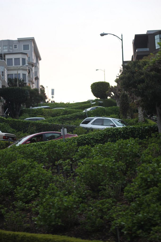 San Francisco Picture Diary Part II