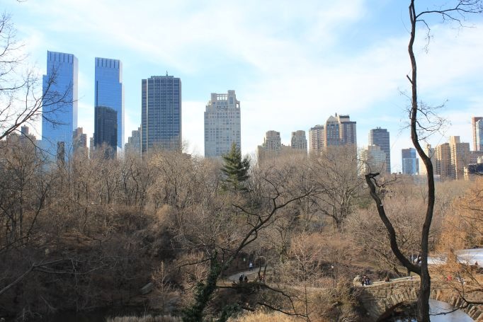 The heart of New York - Central Park