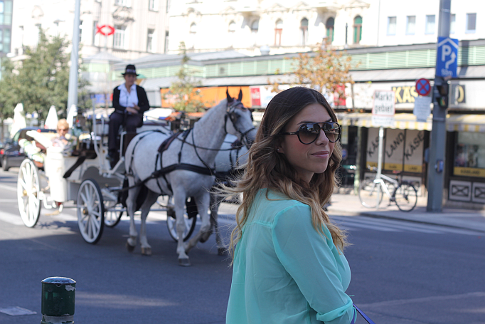 wien pferdekutsche