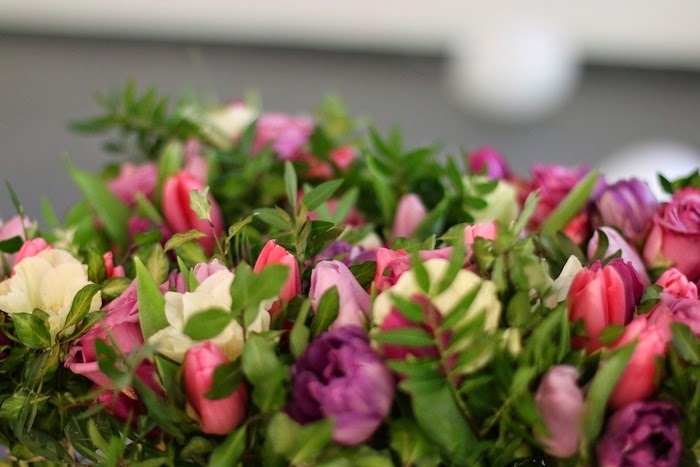 farbige rosen