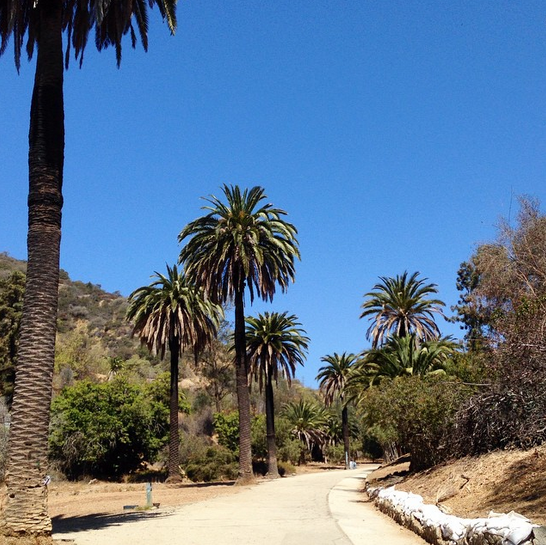 runyon canyon