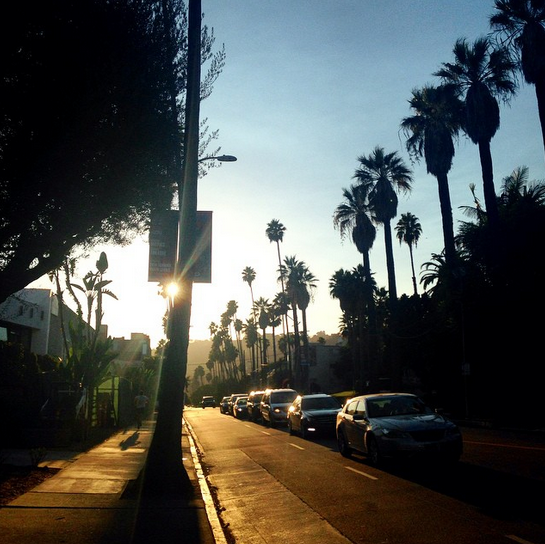 hollywood boulevard sunset