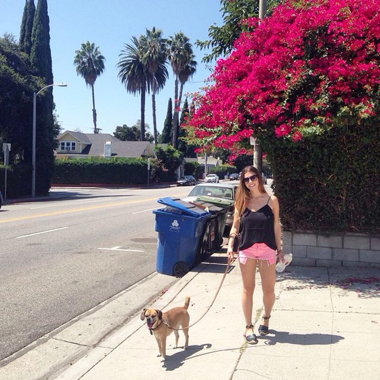 spaziergang in los angeles