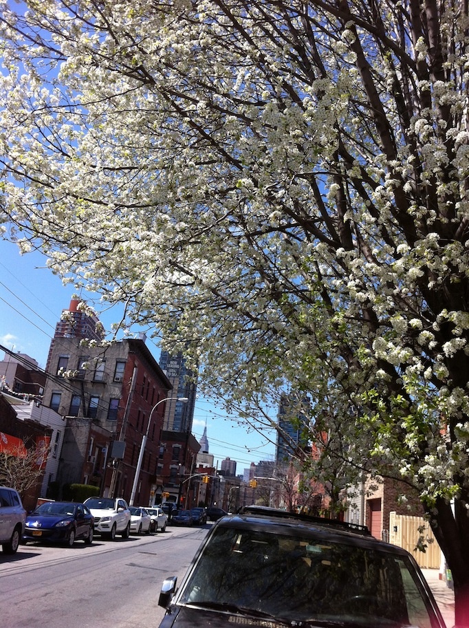 straßen von Williamsburg